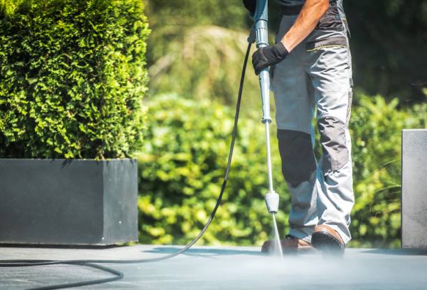 Animal Enclosure Cleaning in Whitmire, SC