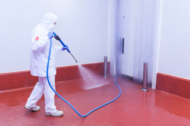 Best Parking Lot and Garage Cleaning  in Whitmire, SC